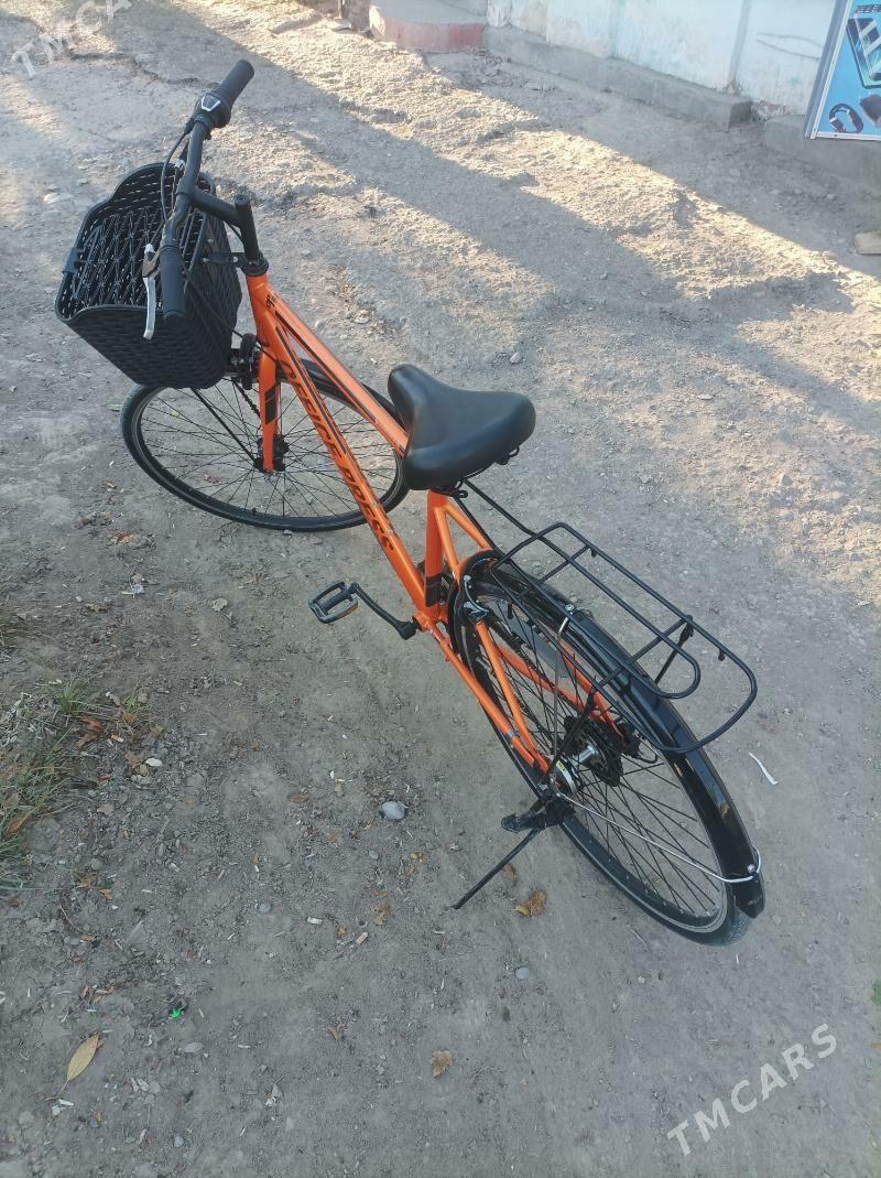 welsopet office preff - Ýolöten - img 5