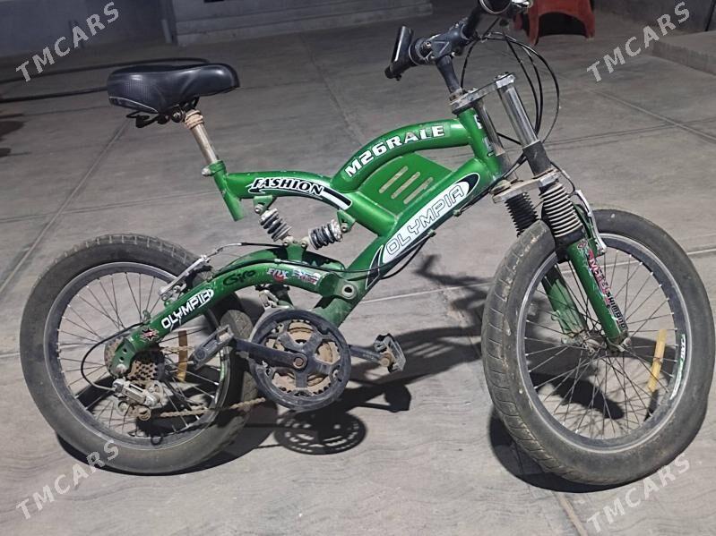 Olympia tigir - Чоганлы - img 4