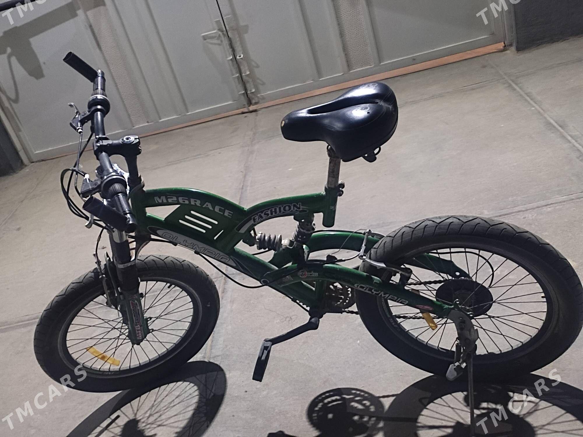 Olympia tigir - Чоганлы - img 2