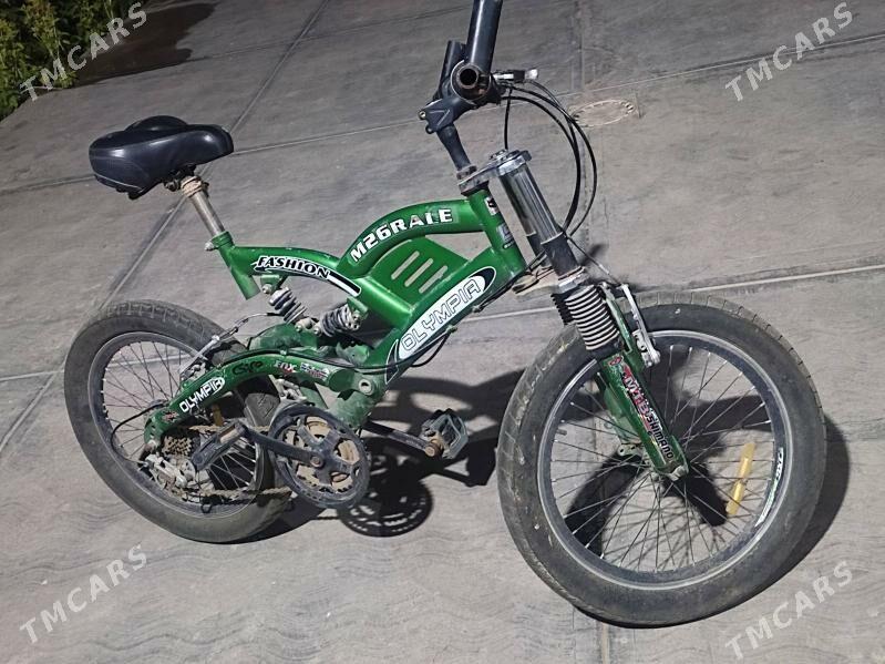 Olympia tigir - Чоганлы - img 3