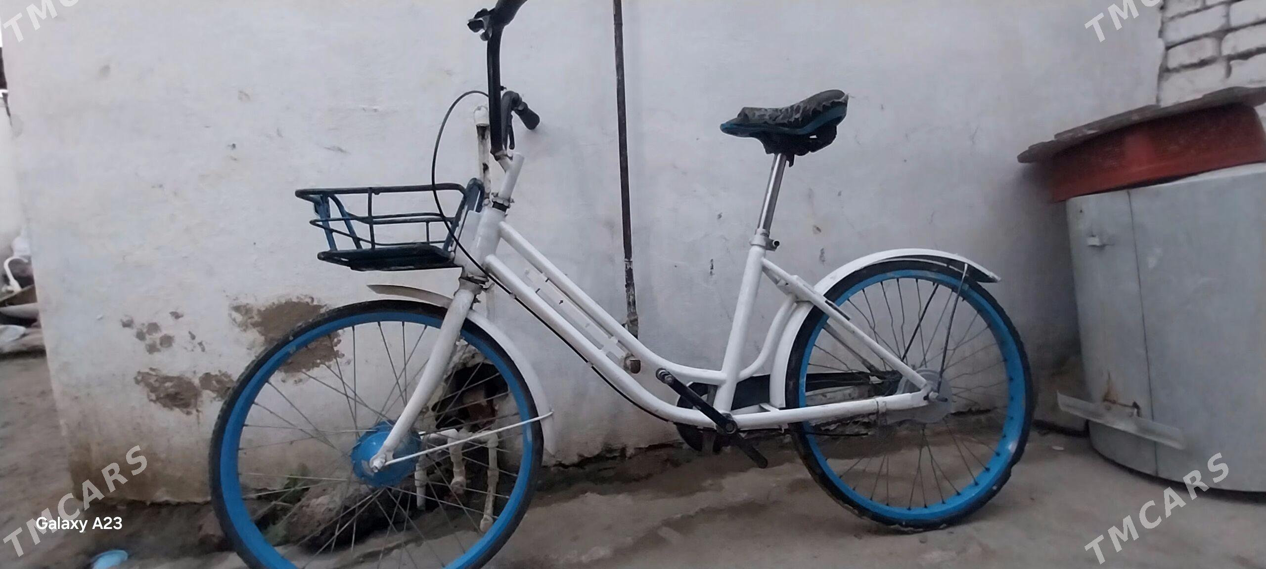 WELIK ORSAN GELEN - Mary - img 1