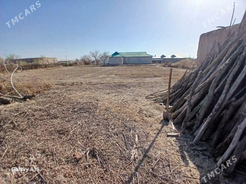 jay - Кёнеургенч - img 5