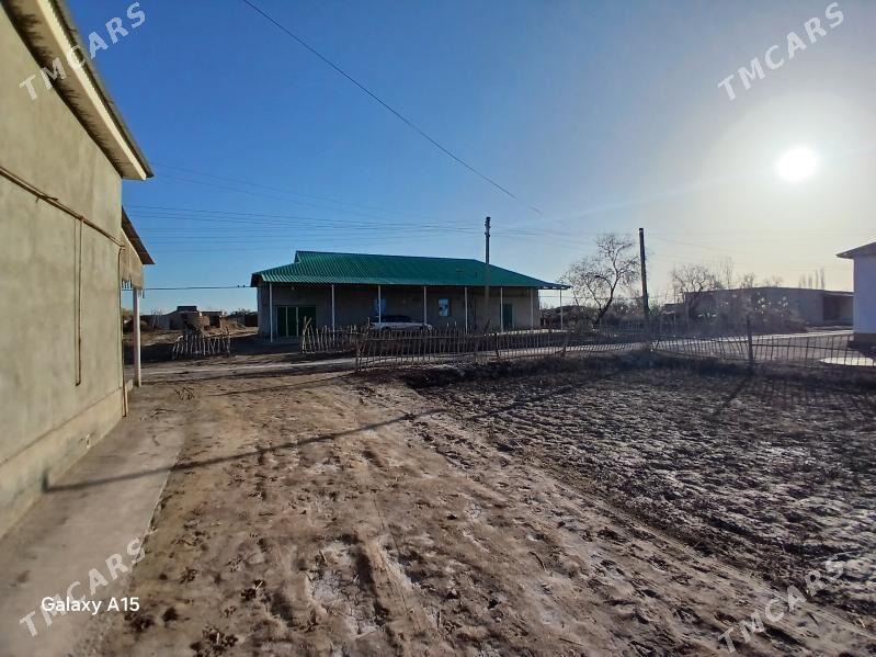 jay - Кёнеургенч - img 1