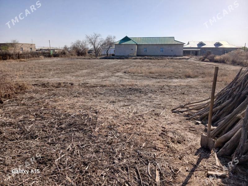 jay - Кёнеургенч - img 4