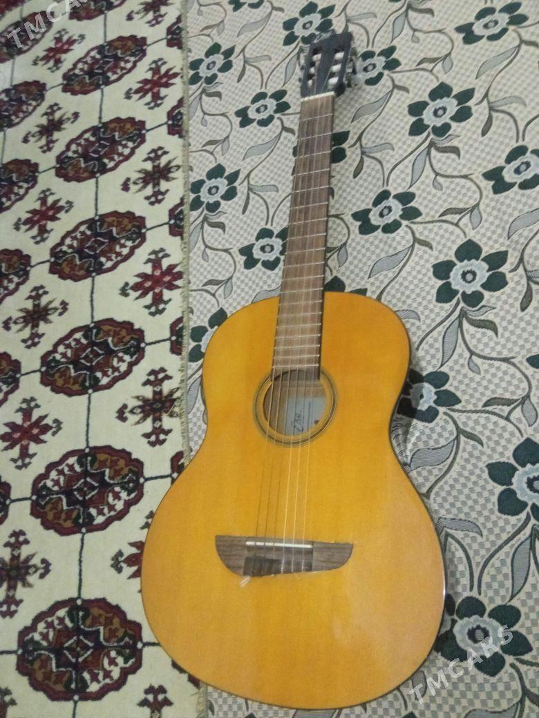 Saz gural - Туркменабат - img 1