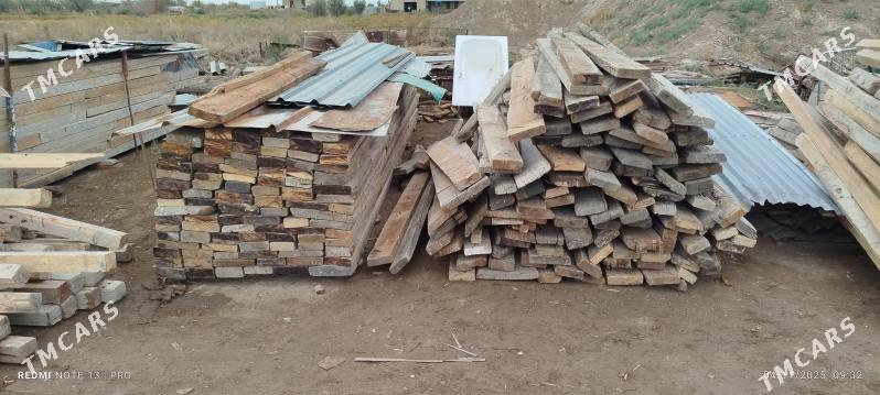 agaçlar - Murgap - img 1