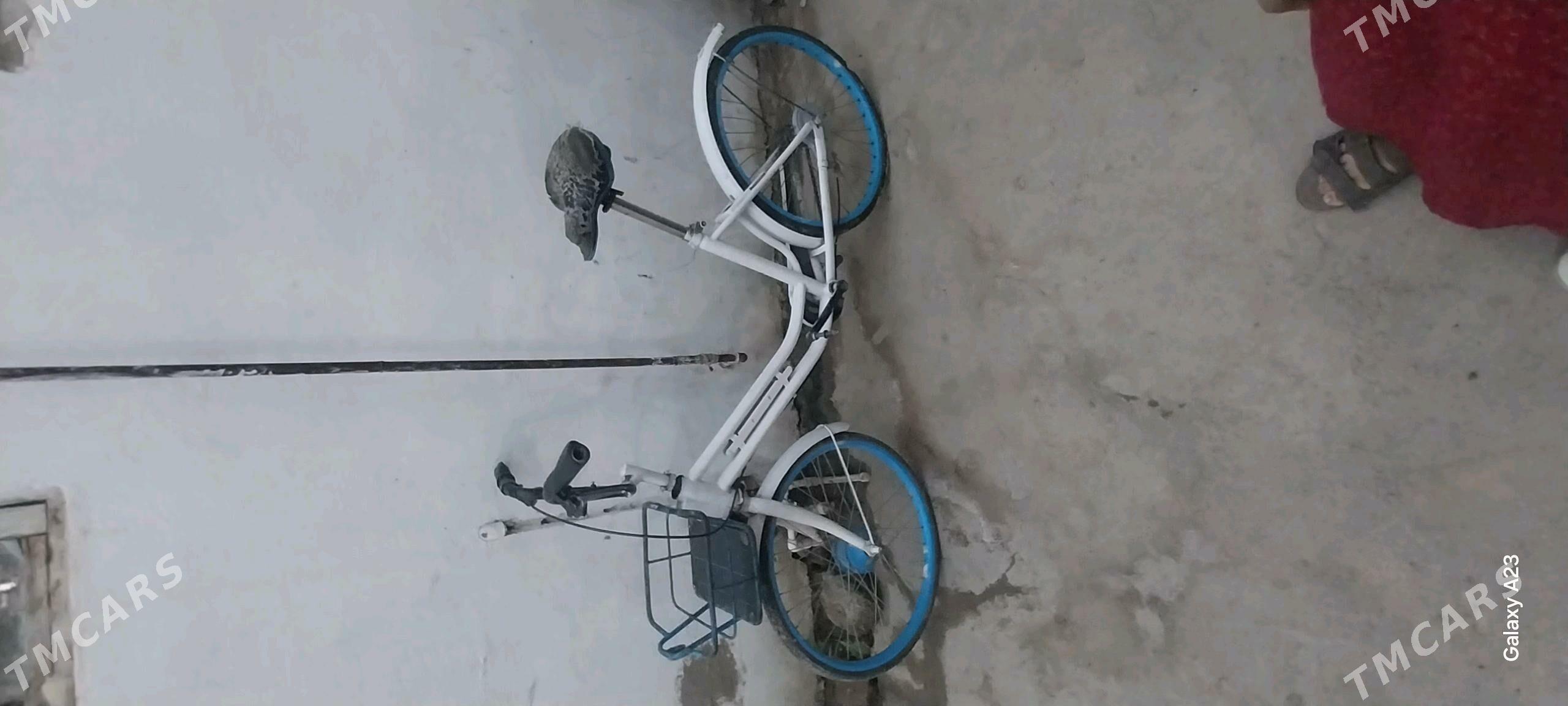 WELIK ORSAN GELEN - Mary - img 2