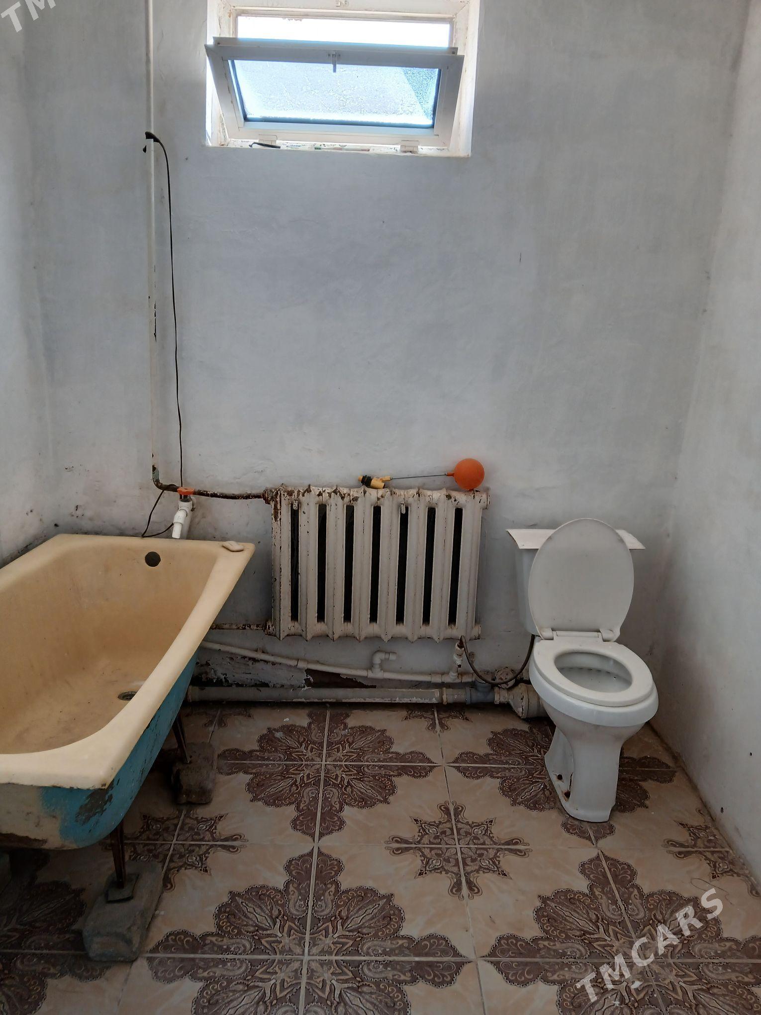 Satlyk jay - Ёлётен - img 7