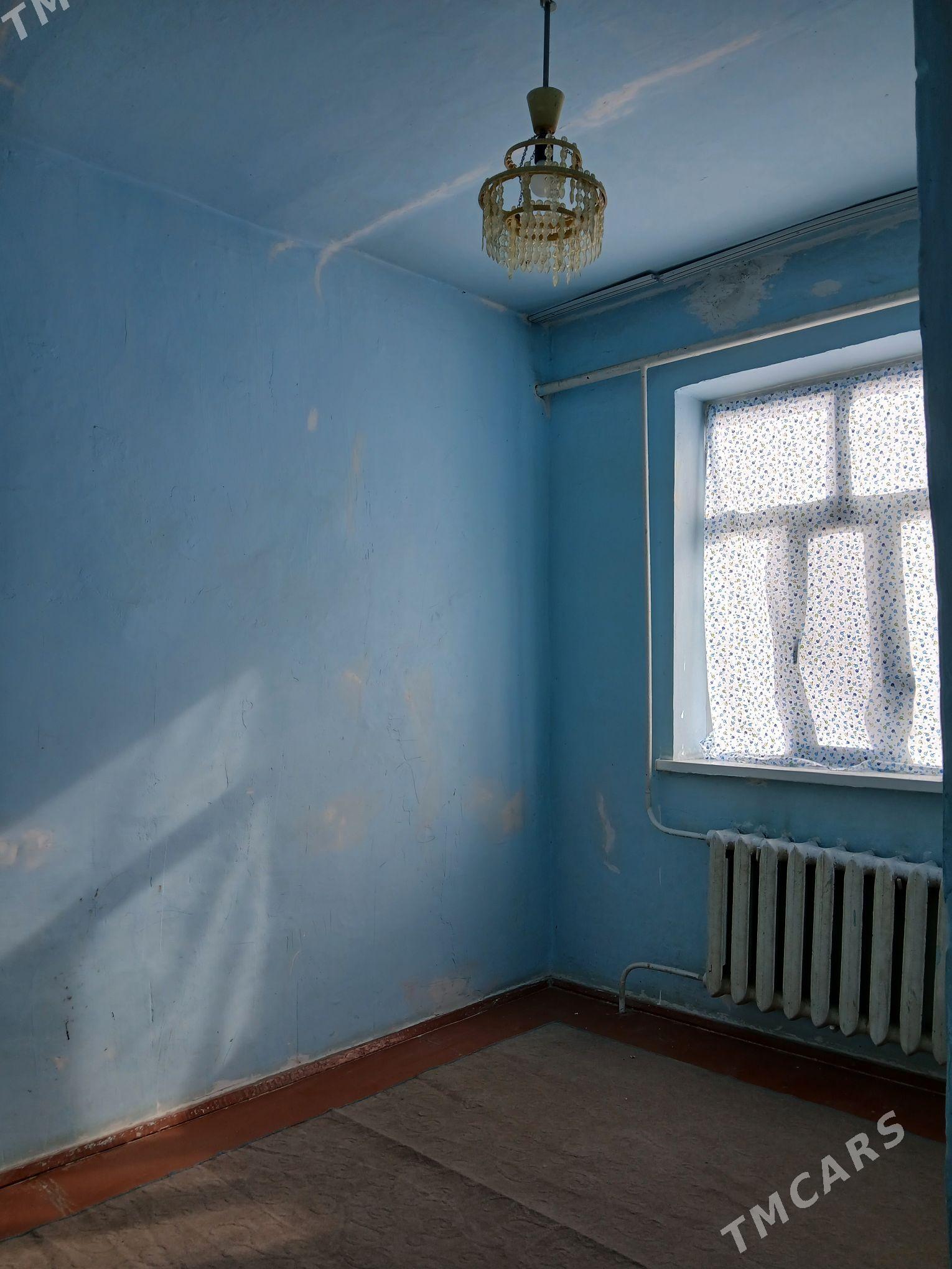 Satlyk jay - Ёлётен - img 9