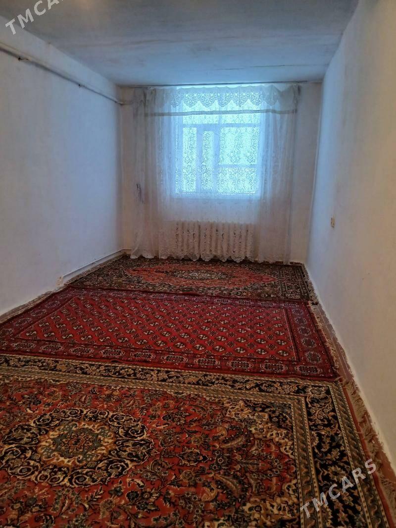 Satlyk jay - Ёлётен - img 1