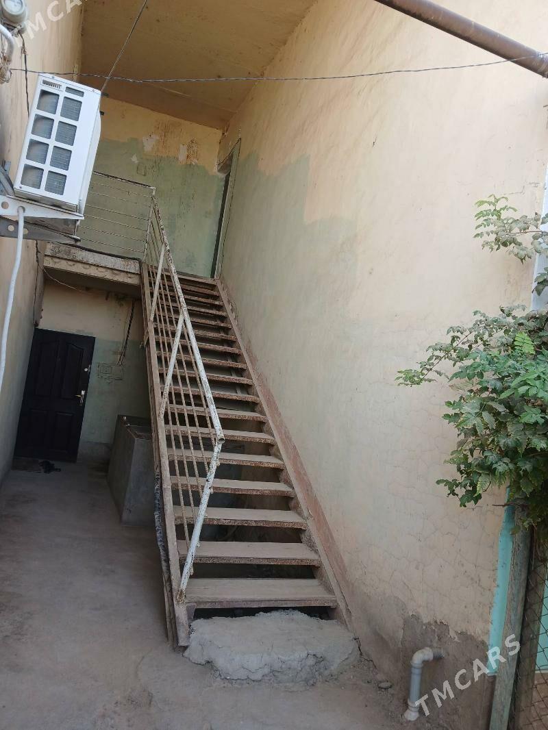 Satlyk jay - Ёлётен - img 5