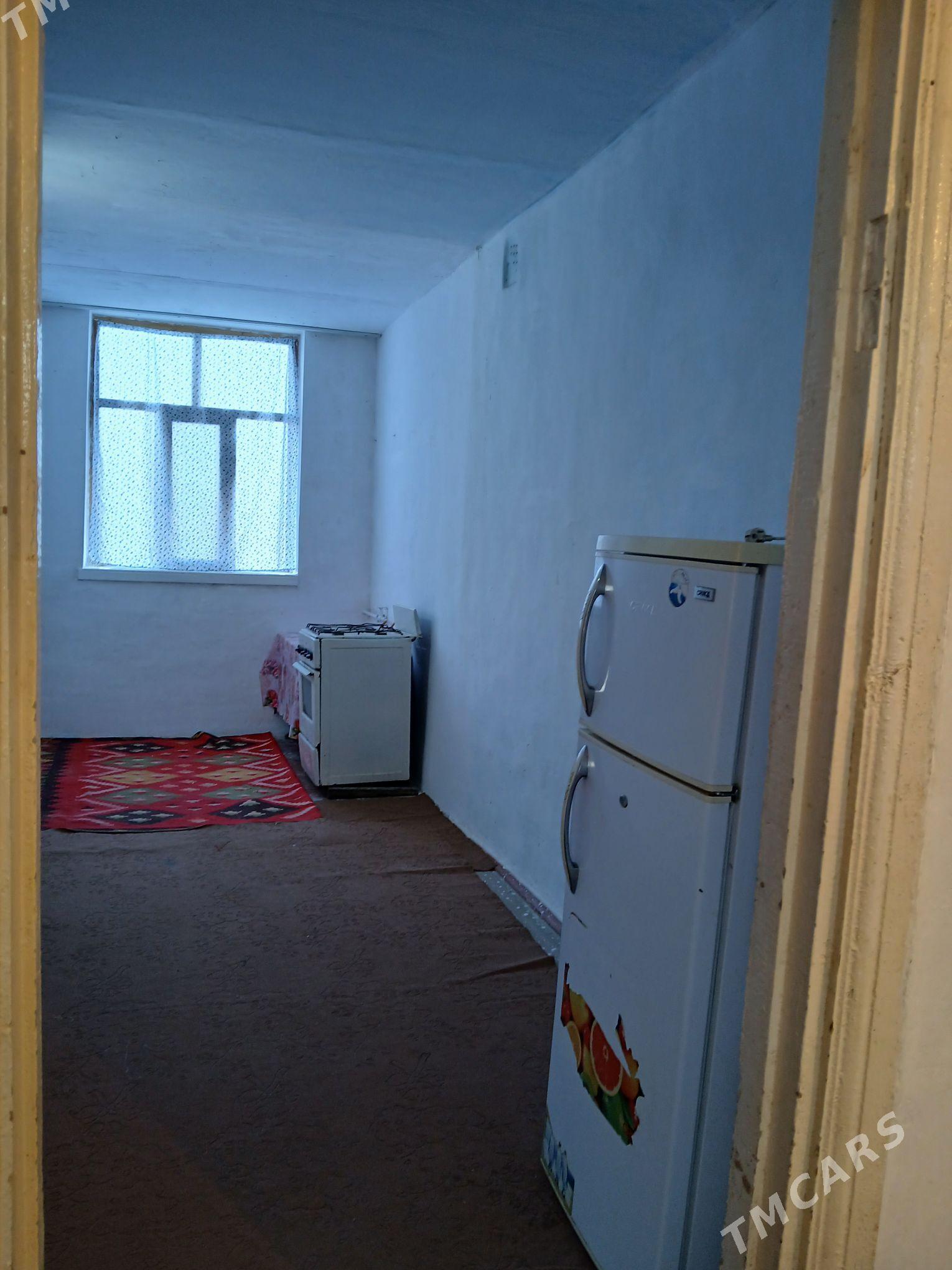 Satlyk jay - Ёлётен - img 3