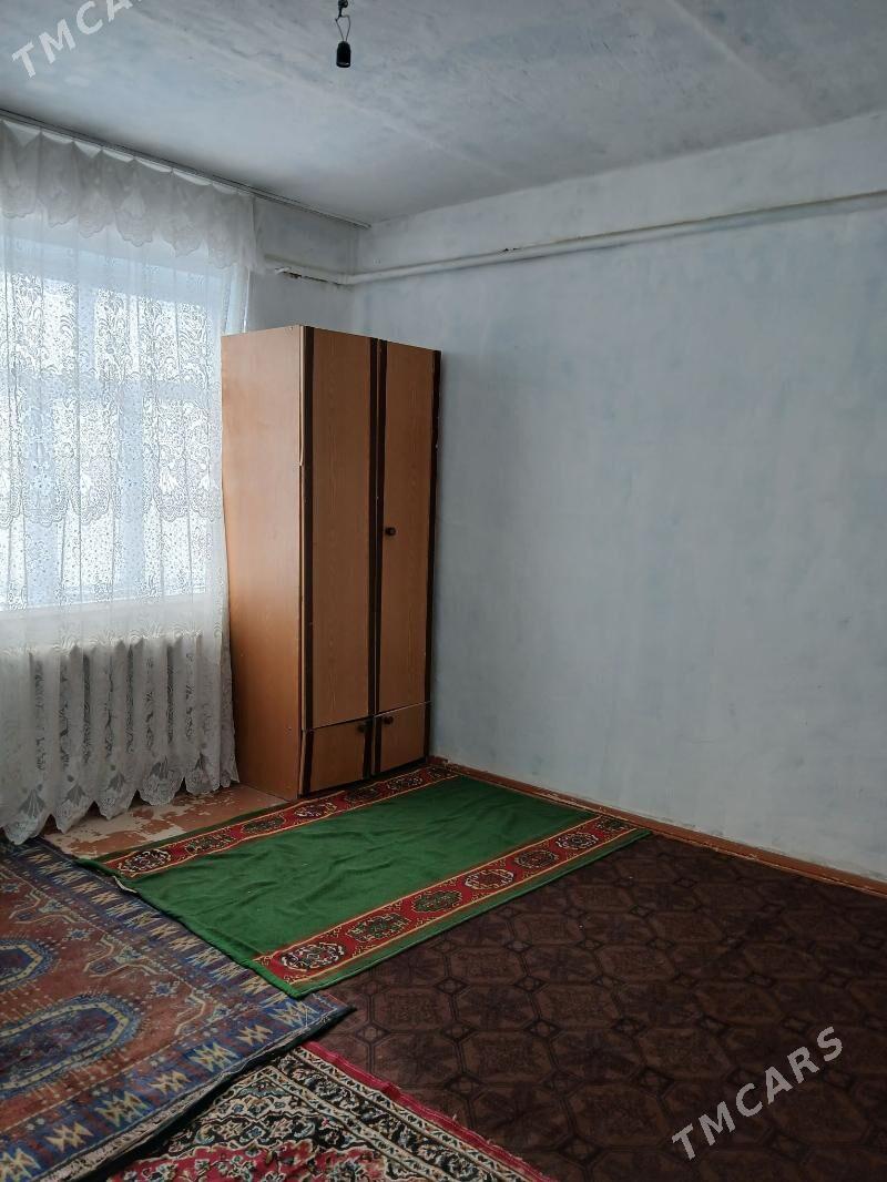 Satlyk jay - Ёлётен - img 2