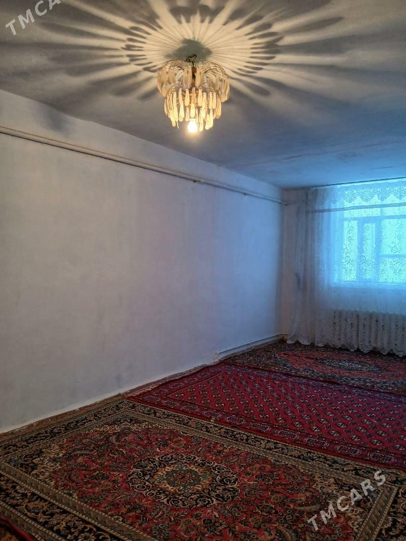 Satlyk jay - Ёлётен - img 10