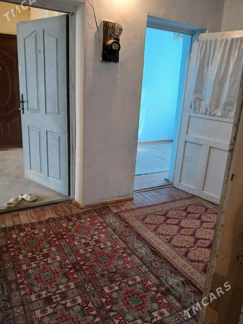 Satlyk jay - Ёлётен - img 4