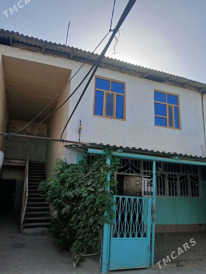 Satlyk jay - Ёлётен - img 6