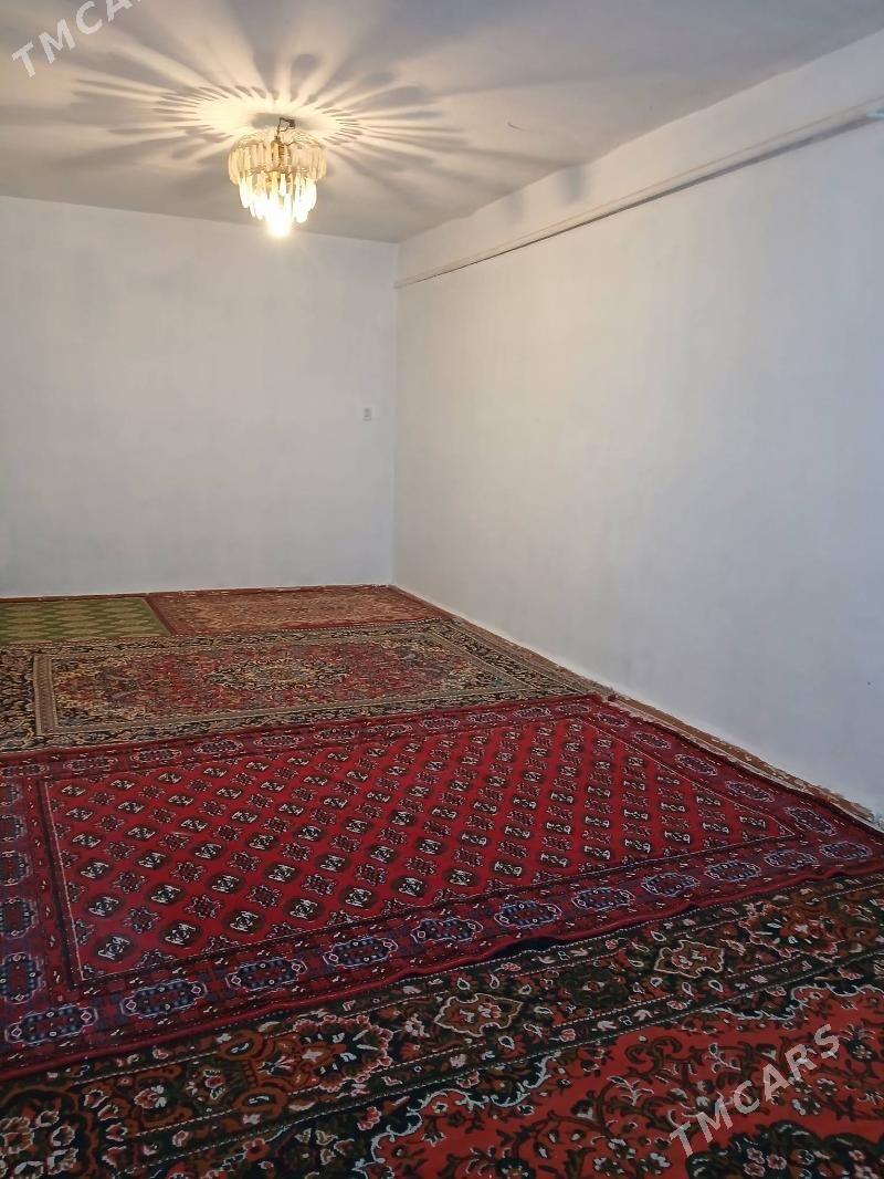 Satlyk jay - Ёлётен - img 8