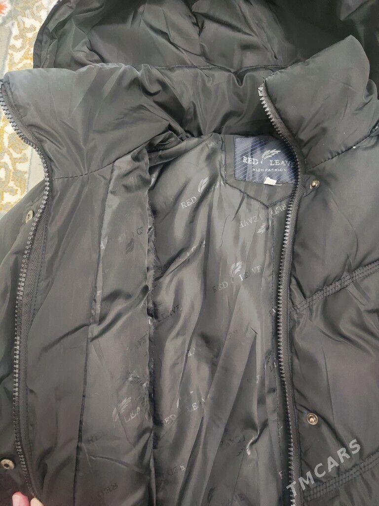 Kutka - Туркменбаши - img 1