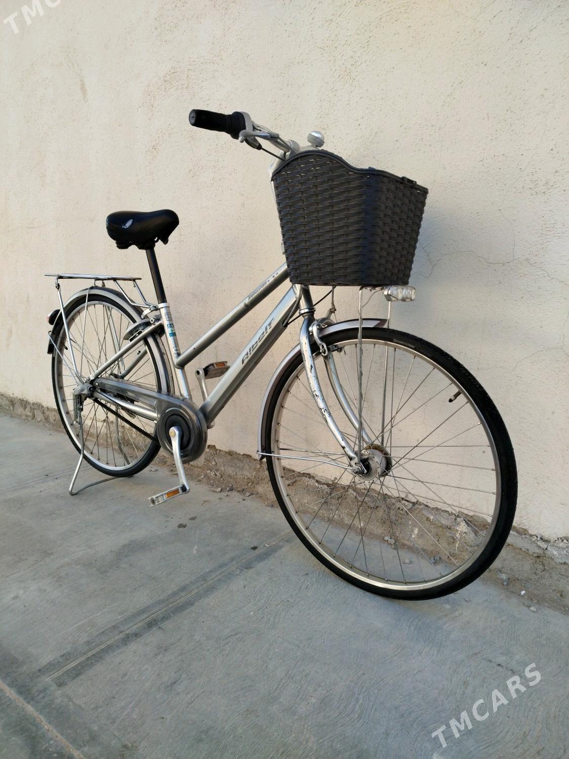 ALBERT - Mary - img 2