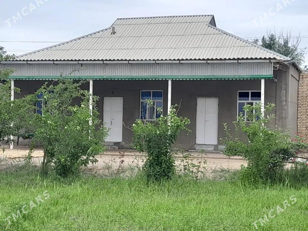 jay - Ёлётен - img 3