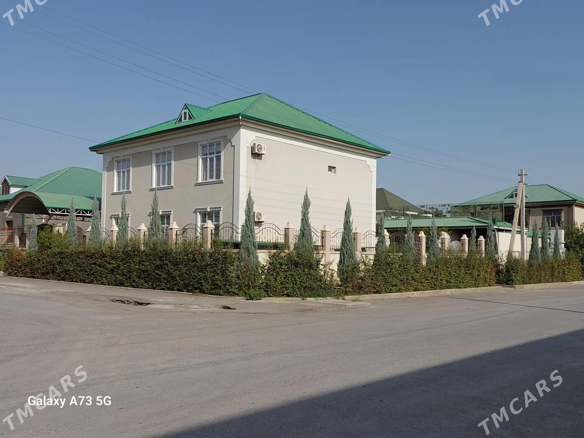 Anew kotejj - Анев - img 1