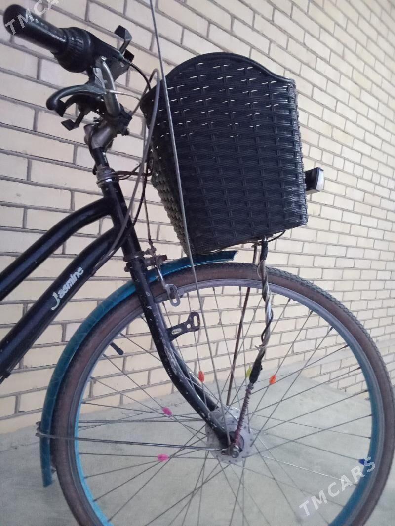 Tigir 26lik - Сакарчага - img 6