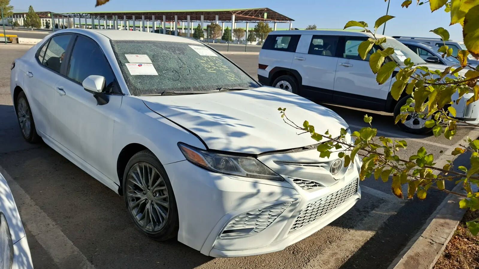 Toyota Camry 2020 - 255 000 TMT - Tejen - img 1