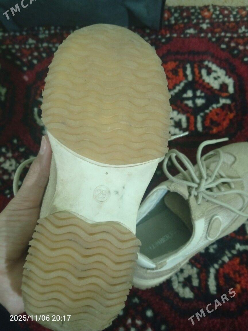 Caga krasowka - Daşoguz - img 2