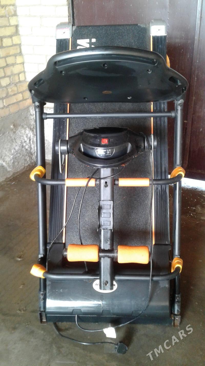 Беговая дорожка - Дянев - img 2