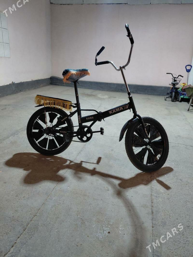 kama tigir - Гарадамак Шор - img 5