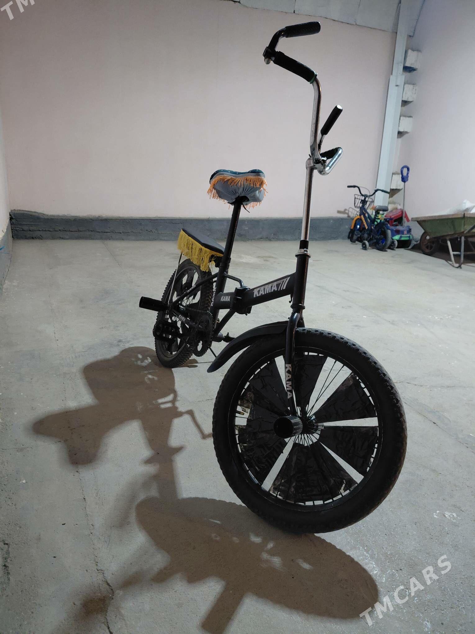 kama tigir - Гарадамак Шор - img 3