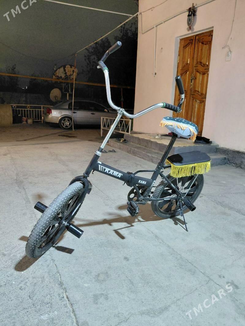 kama tigir - Гарадамак Шор - img 1