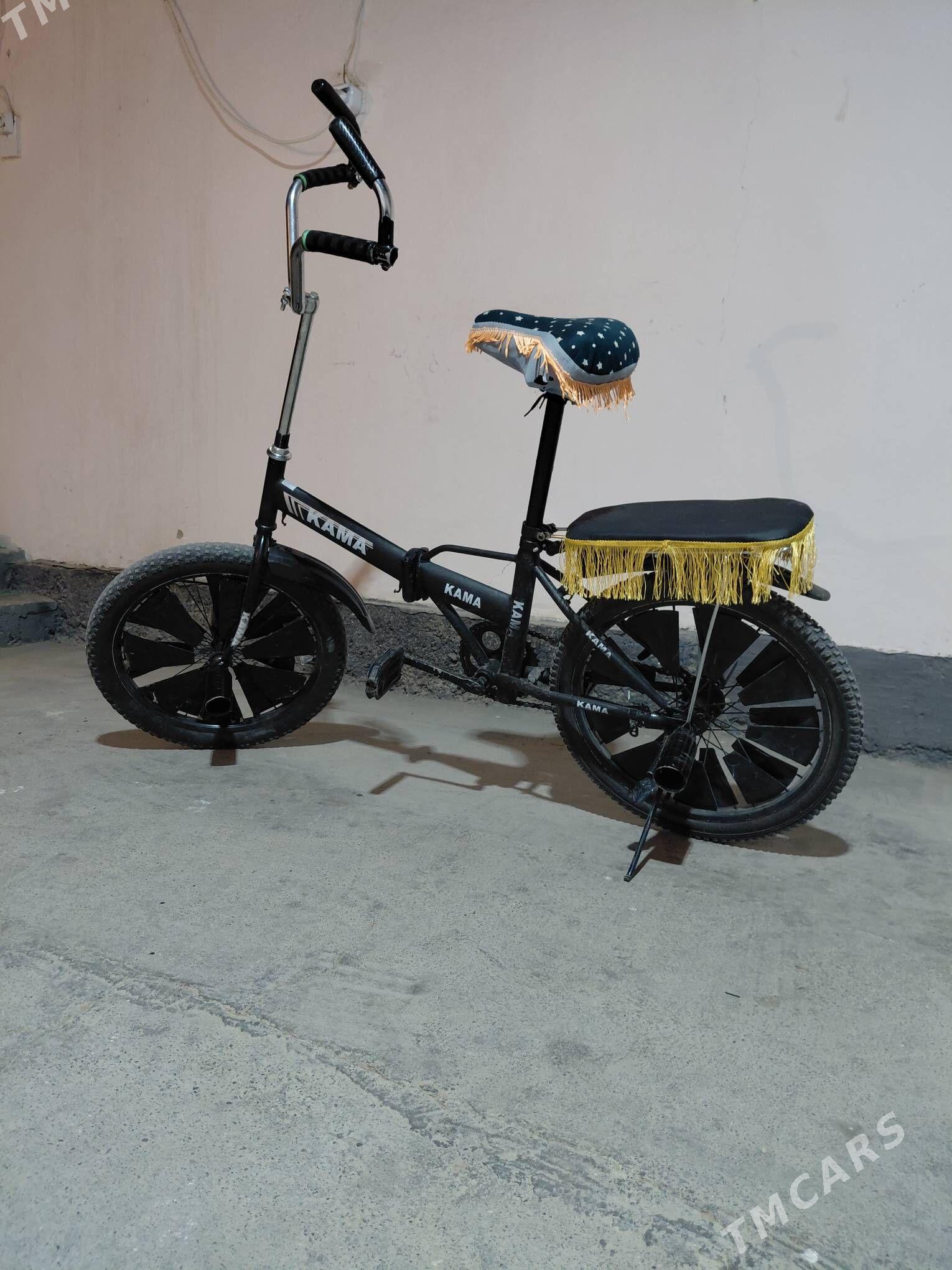 kama tigir - Гарадамак Шор - img 7