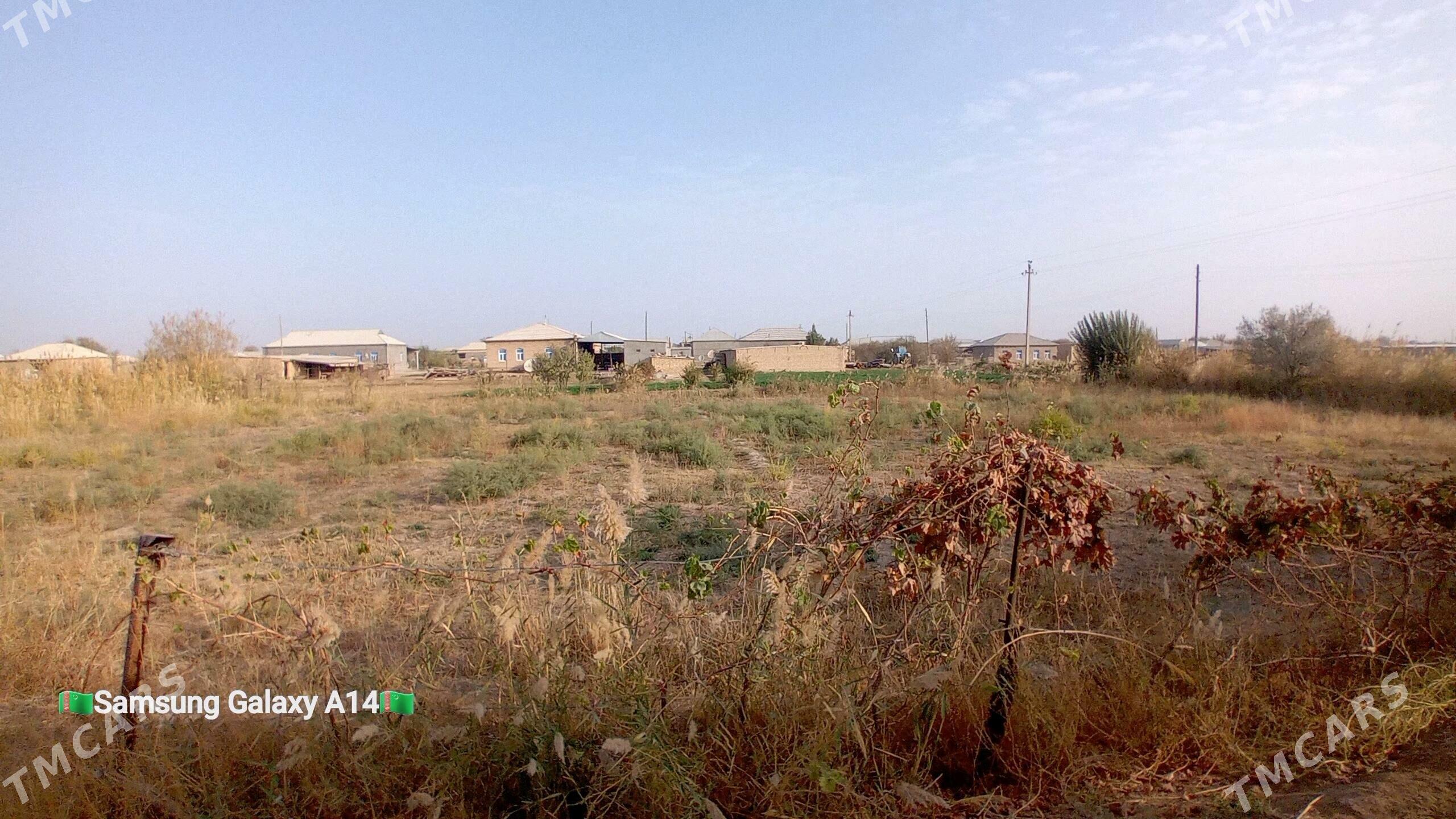 Satlyk jaý Ýolöten - Ýolöten - img 5