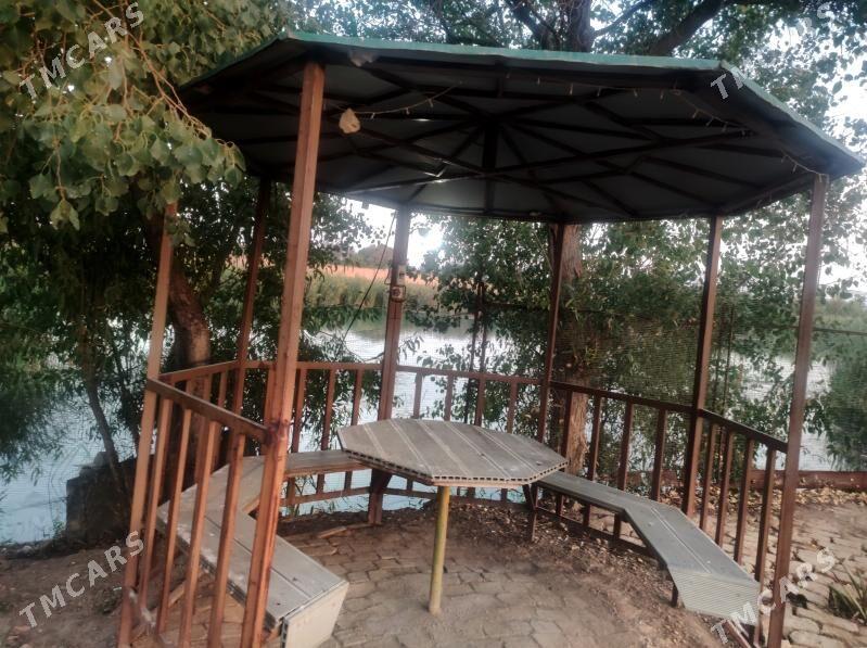 satlyk daca - Mary - img 7