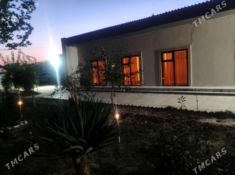 satlyk daca - Mary - img 4