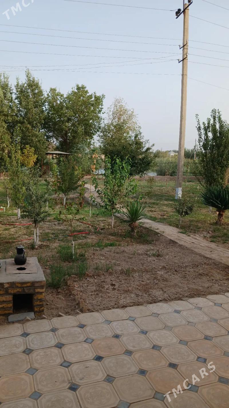 satlyk daca - Mary - img 9