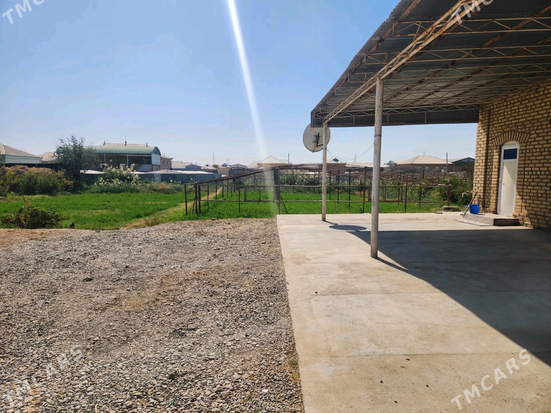 satlyk jay mary etrapp - Мары - img 2