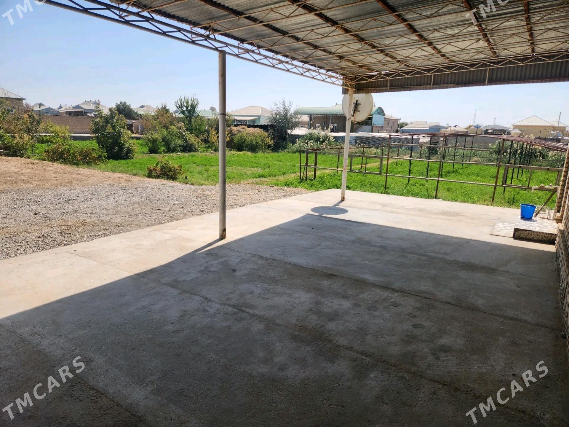 satlyk jay mary etrapp - Мары - img 1