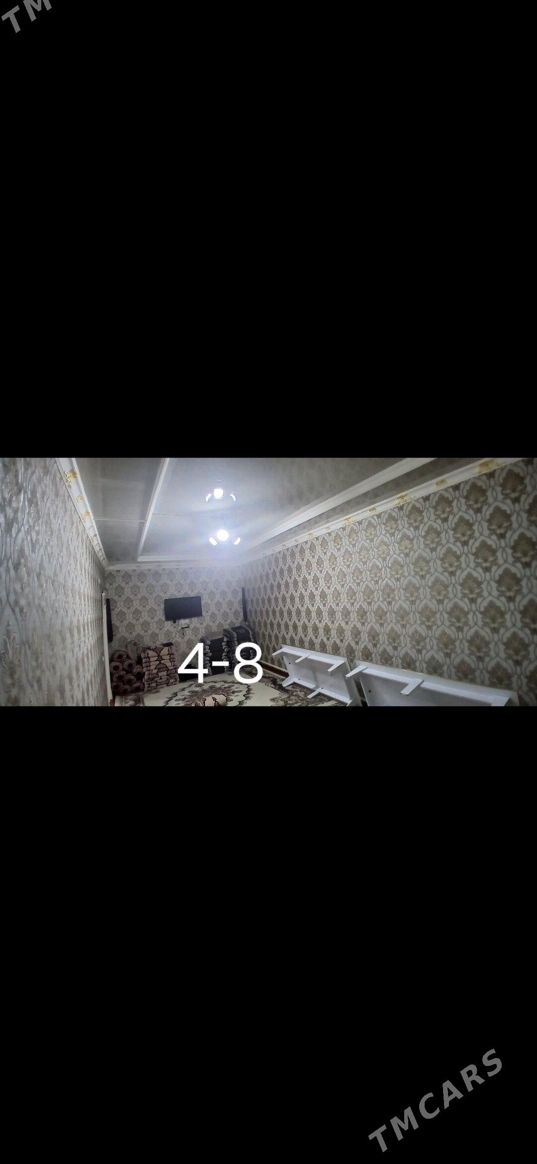 Jay - Köneürgenç - img 3