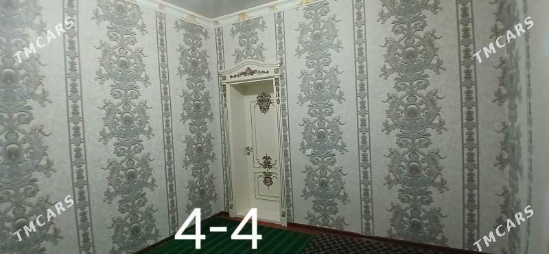 Jay - Köneürgenç - img 8