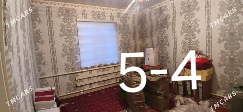 Jay - Köneürgenç - img 6