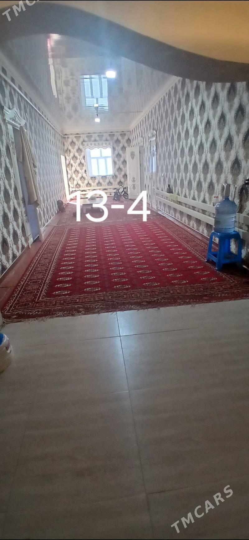 Jay - Köneürgenç - img 1