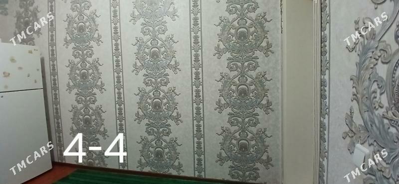 Jay - Köneürgenç - img 9