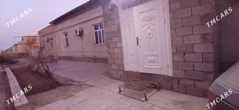 Jay - Köneürgenç - img 5