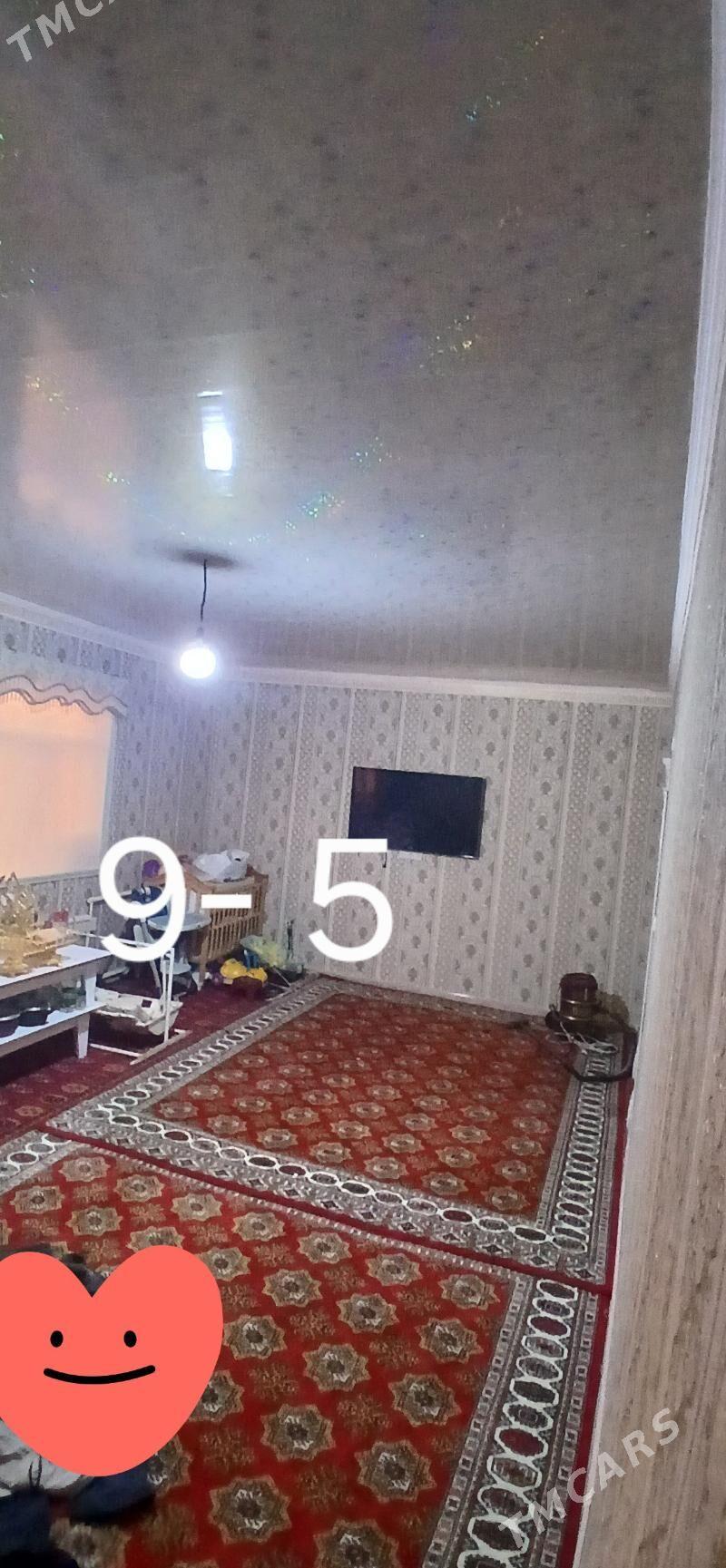 Jay - Köneürgenç - img 7