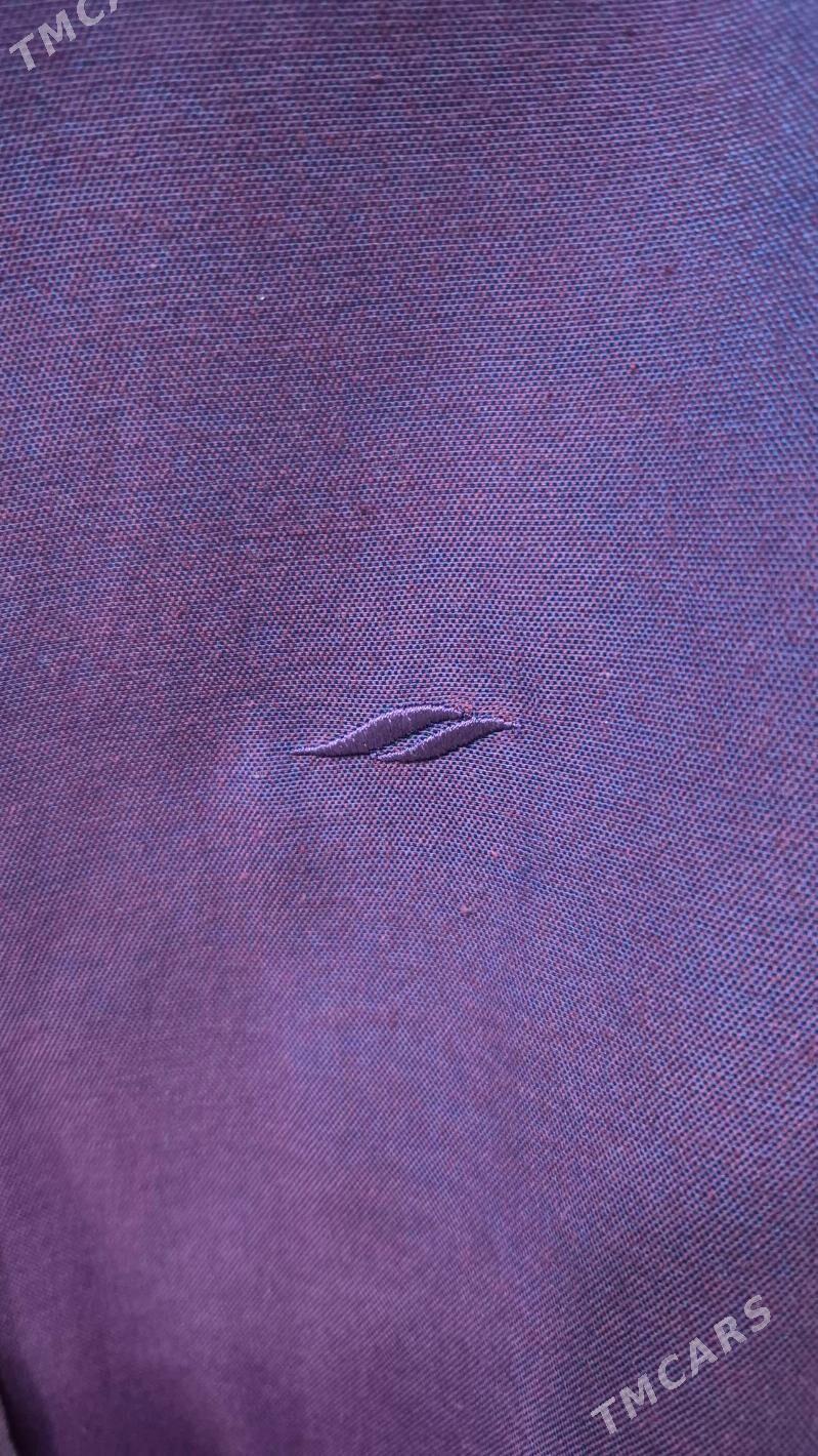 Koynek - Änew - img 3