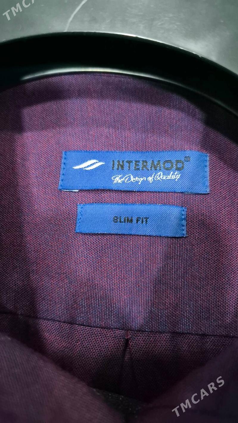 Koynek - Änew - img 2