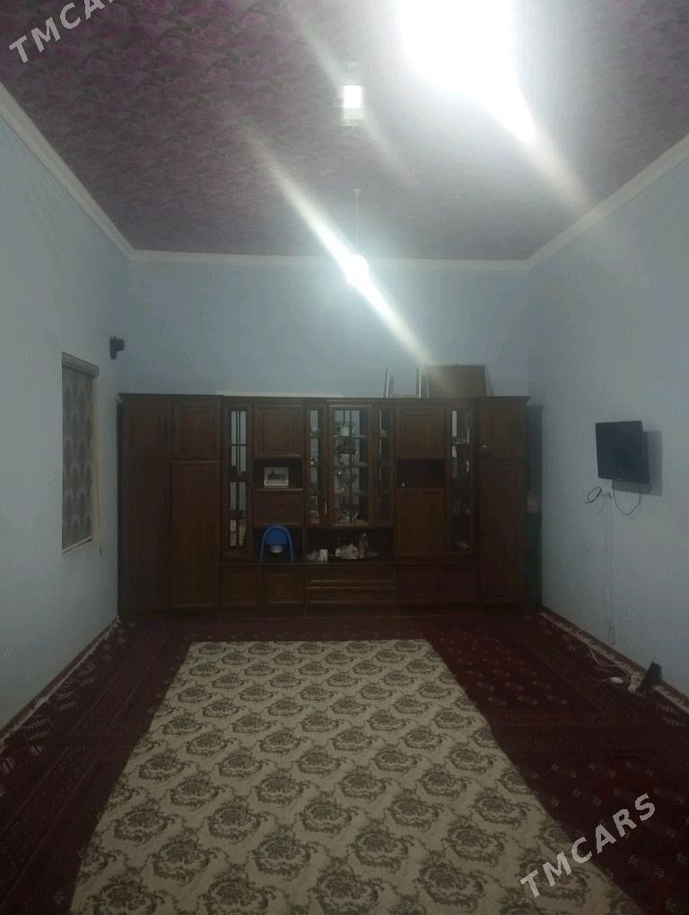 Satlyk jay - Mary - img 5