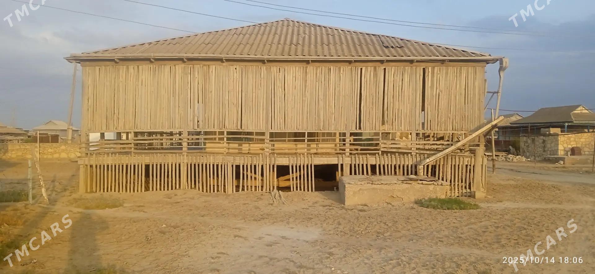 Agaç jaý - Esenguly - img 9